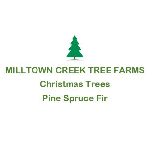 Milltown-Creek-Tree-Farm-300 tree farm